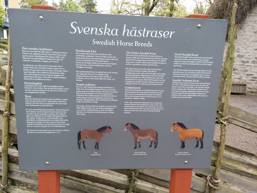 Svenska Hästraser