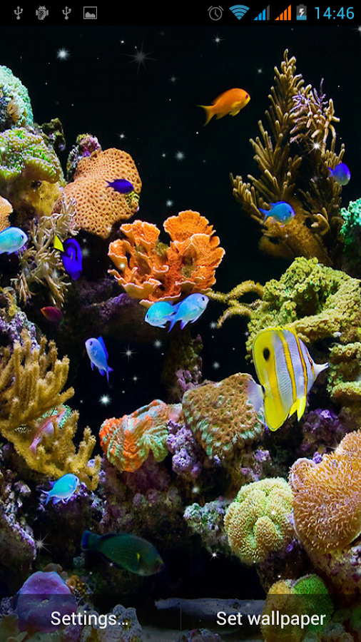 Aquarium Live Wallpaper - screenshot