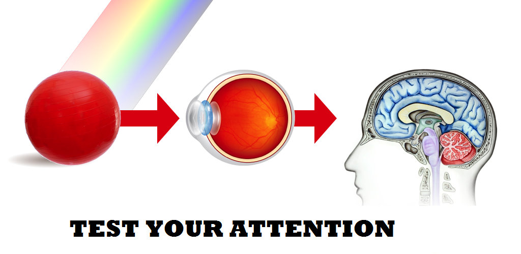 Attention game. Восприятие цвета. Attention games. Color Perception. Game for attention.