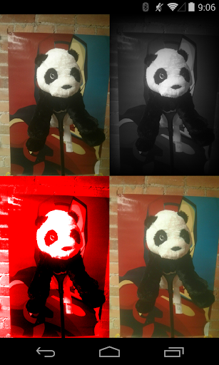 Pando