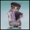 Funny Cat LWP !! logo