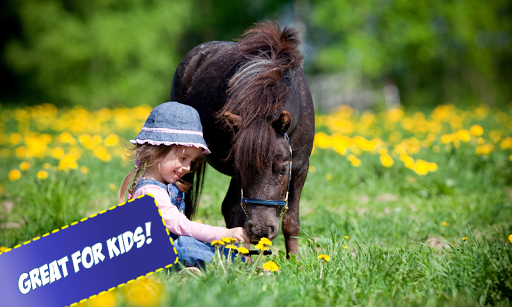 Horses Jigsaw Puzzles