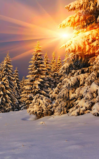 Winter Live Wallpaper