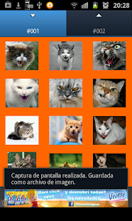 How to download Cat Ringtones lastet apk for pc