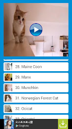 CatTube - Video of cat breeds poster 5