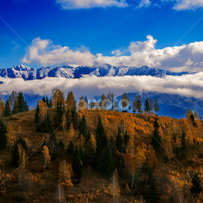 by Nedelcu Valeriu - Landscapes Travel