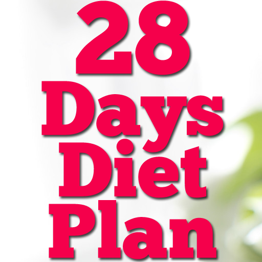 28 Day Diet Plan