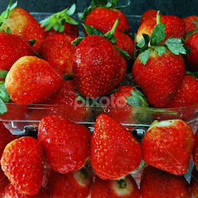 SEGAR by Hendra Hermawan - Food & Drink Fruits & Vegetables