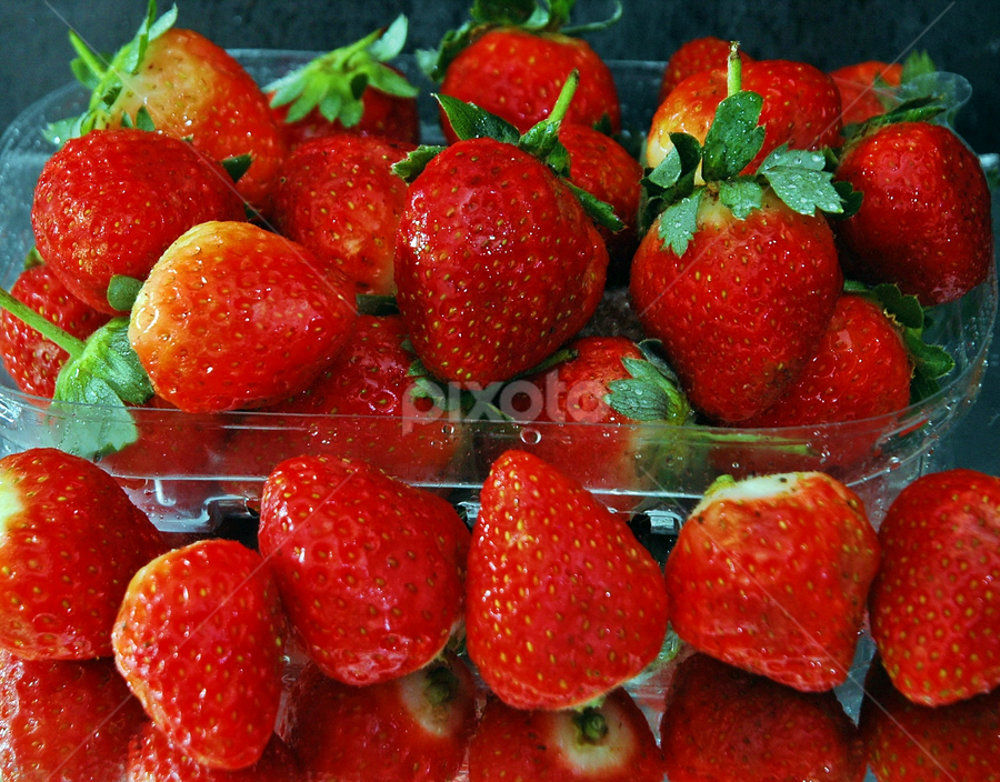 SEGAR by Hendra Hermawan - Food & Drink Fruits & Vegetables