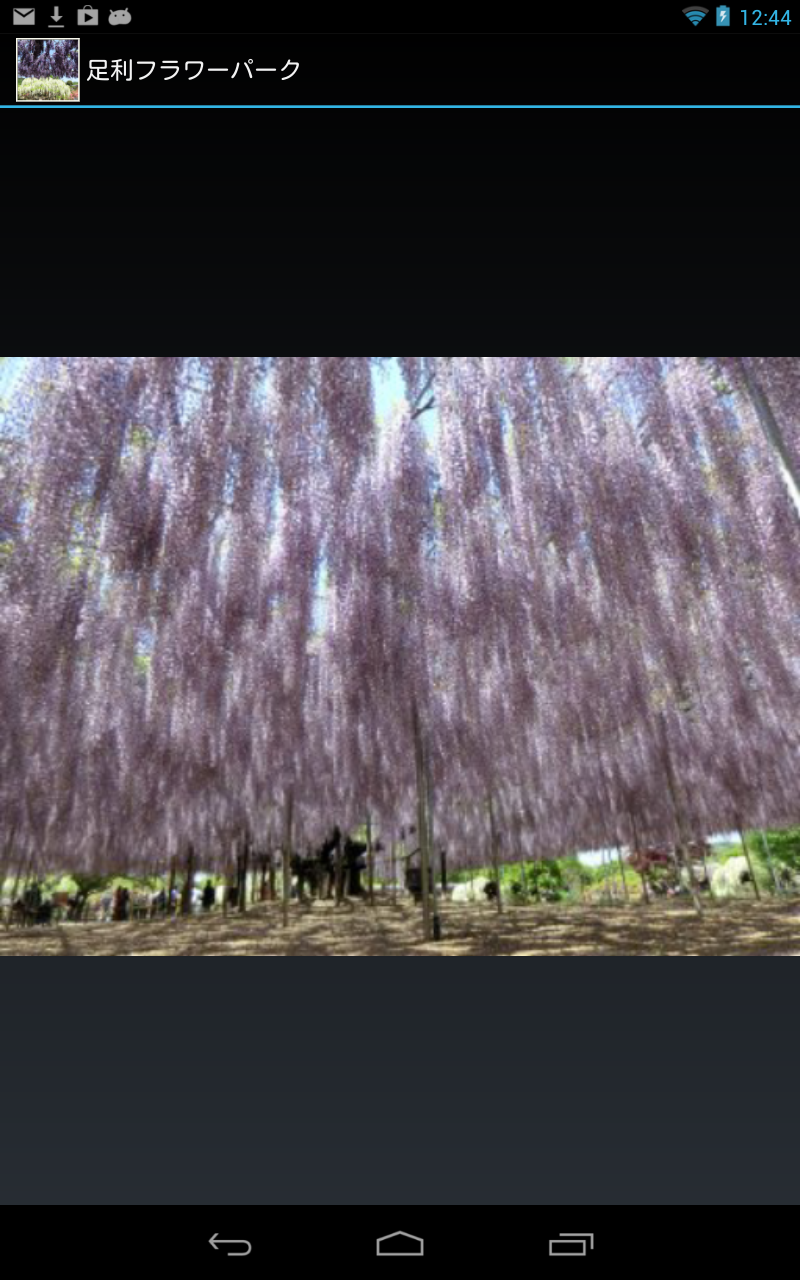 AshikagaFlowerPark(J011) Screen 2