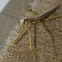 Large Brown Mantis
