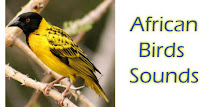 African Birds Sounds Free APK