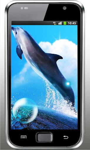 Dolphin Jumps live wallpaper