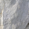 Fossil trails in rock