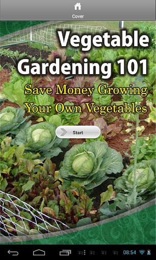 Vegetable Gardening 101