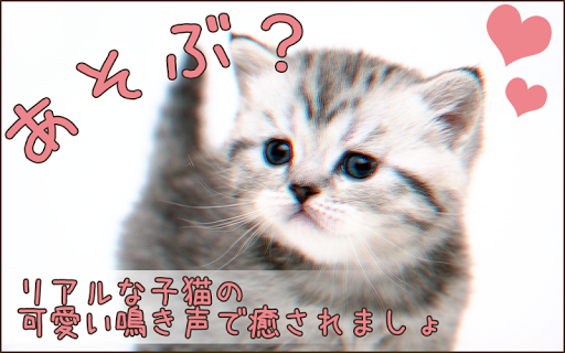 猫育成キット★無料でかわいいねこちゃんと遊べるゲーム※音声付