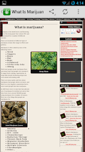 How to get What Is Marijuana - Weed Facts lastet apk for laptop