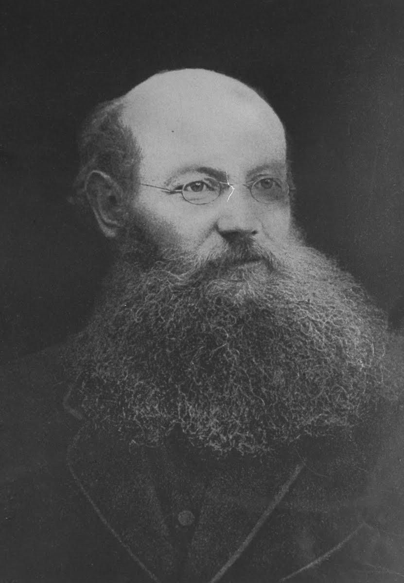 Кропоткинский кропоткин. П.А. Кропоткин (1842–1921).