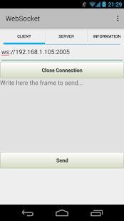 WebSocket Screenshots 1