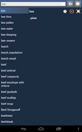 English Croatian dictionary poster 13