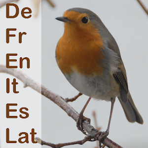 EuroBird Translator 1.0