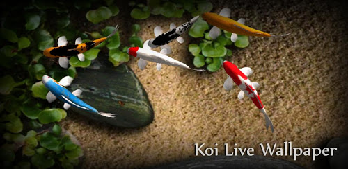 Koi Live Wallpaper 1.65