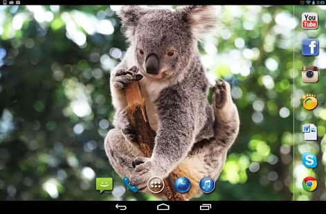 Koala Australian HQ LWP Screenshots 0
