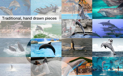 【免費家庭片App】Dolphin Jigsaw Puzzles Demo-APP點子