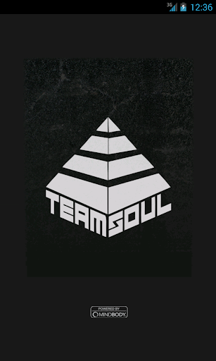 Team Soul
