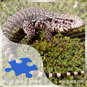 Tegus Jigsaw Puzzle logo