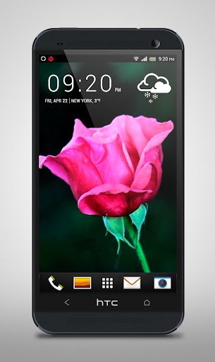 Pink Rose Live Wallpaper