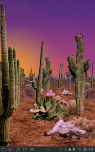 Free Download Desert Free Live Wallpaper APK for Android