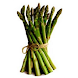 Asparagus  its culture for ho