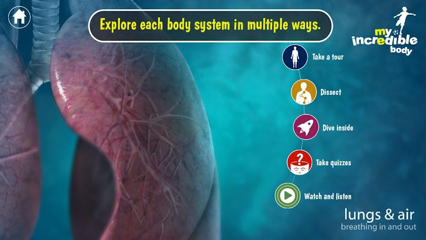 My Incredible Body: For Kids! Screen 3