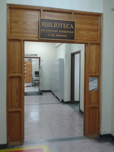 Biblioteca De Ciências Florestais E Da Madeira
