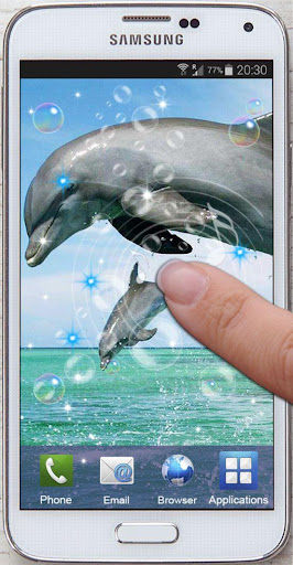 【免費個人化App】Dolphins Games live wallpaper-APP點子