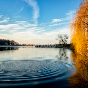 Rings by Eduard Gutescu - Landscapes Waterscapes