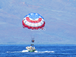 the fun begins by Melody Gough -  