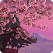 Sakura live wallpaper icon