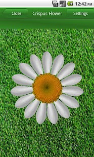 Love me (Daisy) Screenshots 0