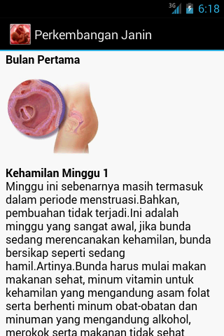 photo of 8 week fetus