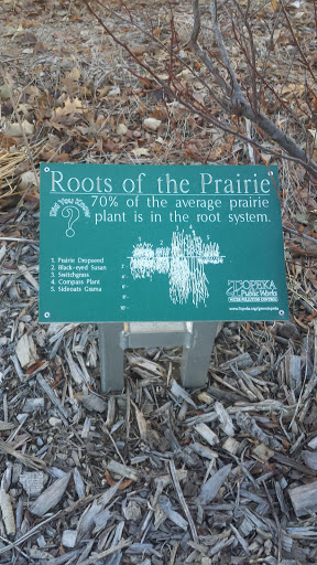 Roots of the Prairie