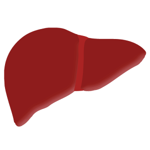 MedHepatites logo