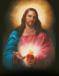National Shrine Sacred Heart Screenshots 0
