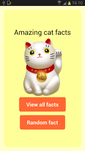Amazing cat facts