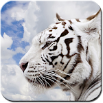 Cover Image of ダウンロード Bengal Tiger Live Wallpaper 1.0.1 APK
