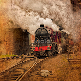 Those were the Days! by Martin Crush - Transportation Trains