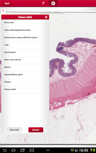 multeBook Histology Screenshots 3