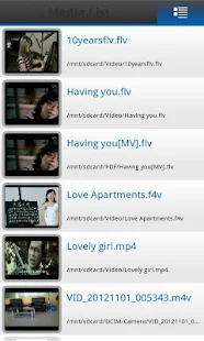 FLV Video Audio Player