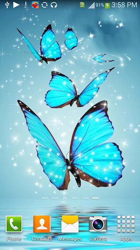 Cool Blue Butterfly HD Live WP